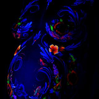 Body schmink studio bodypaint torso bellypaint uv flowers beek en donk