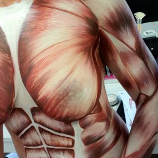 Body schmink studio working process torso human anatomy beek en donk logo